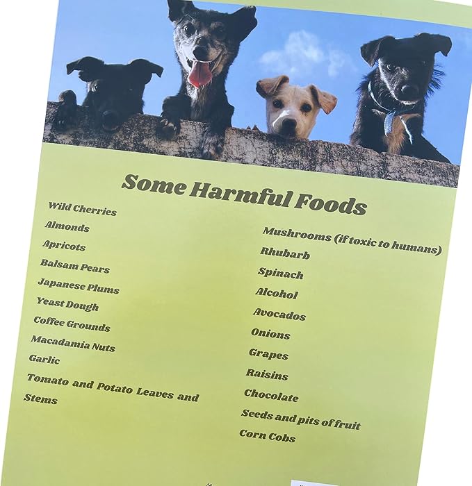 Groomers Margins Puppy Information Folders (10 Pack) - New Puppy Essentials and Dog Health Supplies for Breeders, Veterinarians, and Shelters - A Dog Owner Must Have