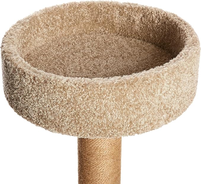Amazon Basics Cat Tree - Multi-Level Climbing Activity Tower with Jute Rope Scratching Posts for Indoor Cats & Kittens, Medium (31.5" H), Beige