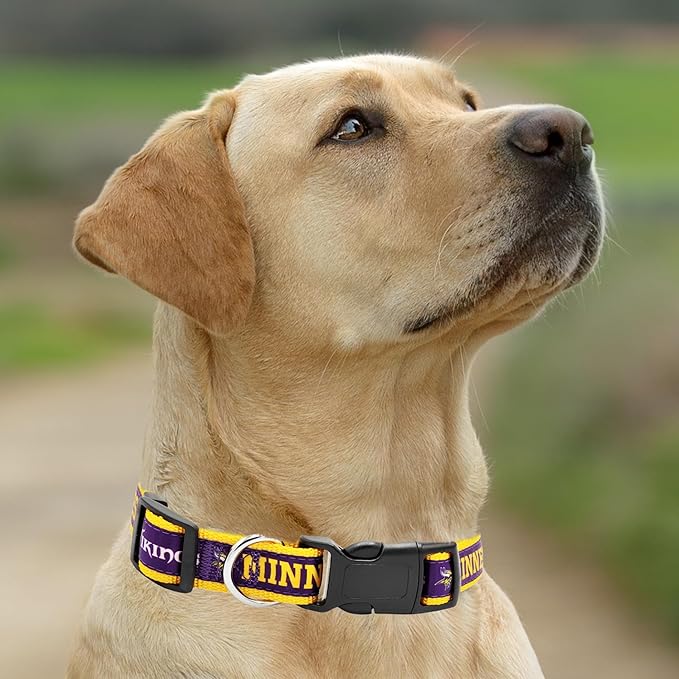 NFL Vikings Dog & Cat Collar - Large, Shiny & Colorful Football Team Collar