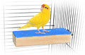 Spoiled Pet® Bird Cage Perch Stand 2-Pack - Beak and Foot Grinding Platform - Parakeets, Cockatiels, Canaries, Finches, Conures, Lories, and Budgies - Hamsters and Gerbils (Wood Perch)