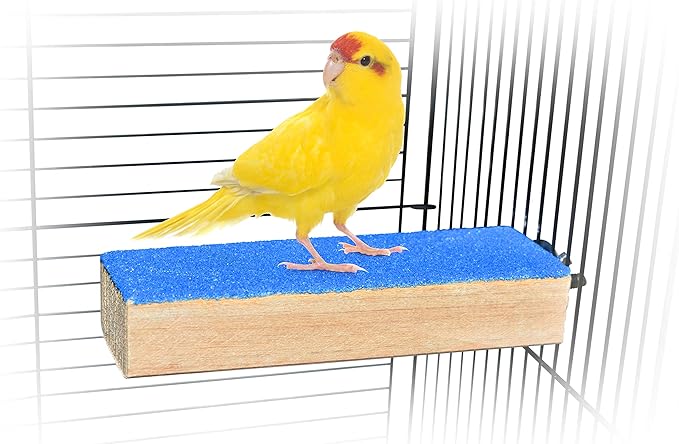 Spoiled Pet® Bird Cage Perch Stand 2-Pack - Beak and Foot Grinding Platform - Parakeets, Cockatiels, Canaries, Finches, Conures, Lories, and Budgies - Hamsters and Gerbils (Wood Perch)