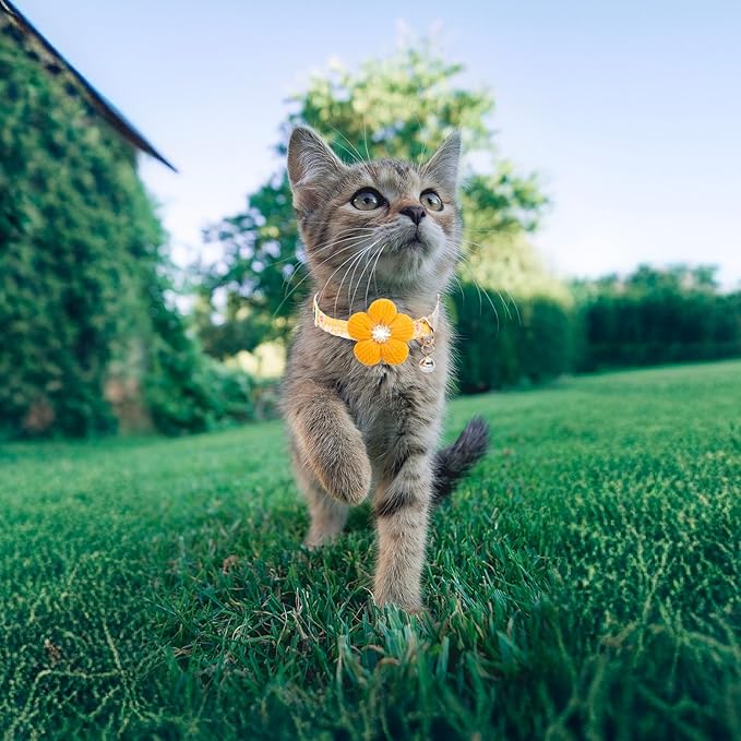 Cat Collar, HYQHYX Breakaway Kitten Collar with Flower,Rhinestone Kitty Collar with Bell, Floral Pet Collar with Safety Buckle for Cats and Puppy Dog