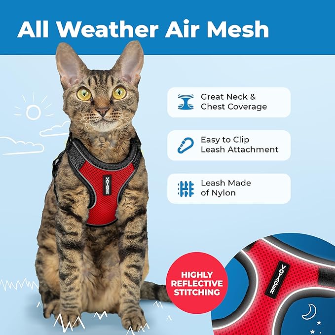 Voyager Escape-Proof Step-in Lock Cat Harness & 5ft Neoprene-Handle Leash Set All-Weather Mesh with Reflective Stitching for Small to Large Cats by Best Pet Supplies, Black Trim-Red (327), XXXS