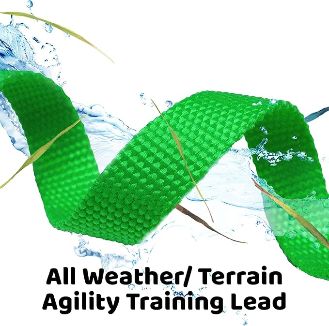Long Dog Puppy Obedience Recall Training Agility Lead, Leash - GREEN, 15' Foot - by, Downtown Pet Supply