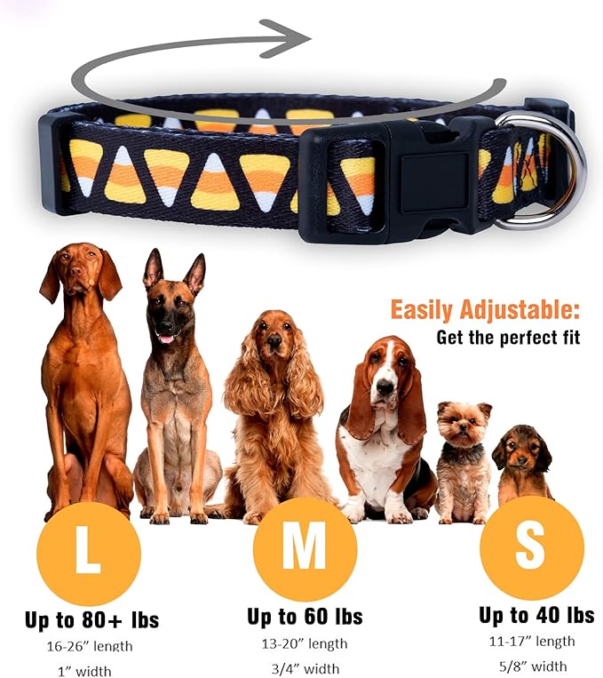 Native Pup Halloween Dog Collar- Spooky Fall Themed Horror Costume Collars- Skull, Pumpkin, Ghost, Bat, Witch, Candy Corn, Spider- Adjustable for Small, Medium, Large Breeds (Large, Candy Corn)