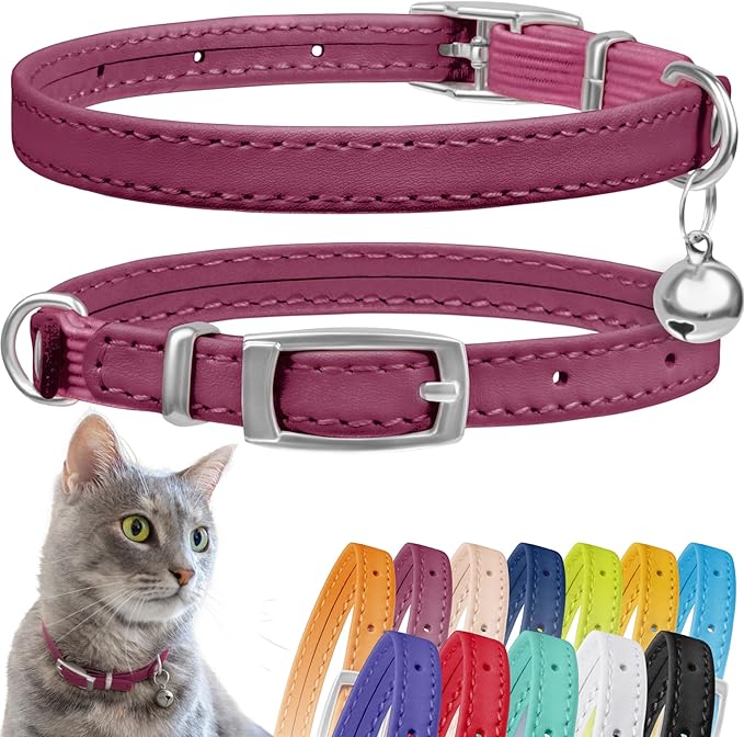 CollarDirect Leather Cat Collar with Bell - Kitten Collar, Small and Big Cat Collar for Boy Cats, Girl Cats with Safety Elastic Strap (Neck Fit 6"-7", Pink)