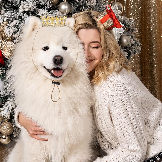 Abbylike Pet Rhinestone King Crown, Queen Crown for Birthday New Year Costume for Small Dog Cat Cosplay Party Accessories Adoption Celebration Wedding Birthday Photos Prop Costume(White,Large)