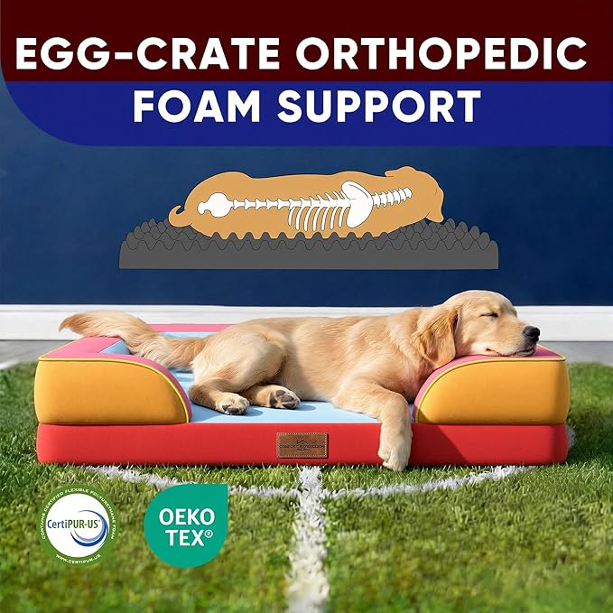 Comfort Expression Orthopedic Dog Bed for Extra Large Dogs 42x30 Inch, Waterproof Egg Crate Foam XL Pet Bed with Removable Bolsters, Dog Couch with Washable Cover & Non-Slip Bottom, Miami