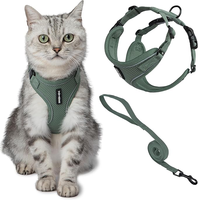 Voyager Escape-Proof Step-in Lock Cat Harness & 5ft Neoprene-Handle Leash Set All-Weather Mesh with Reflective Stitching for Small to Large Cats by Best Pet Supplies, Moss Green (327), S