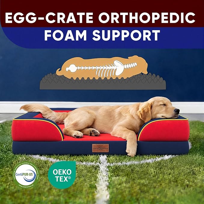 Comfort Expression Orthopedic Dog Bed for Extra Large Dogs 42x30 Inch, Waterproof Egg Crate Foam XL Pet Bed with Removable Bolsters, Dog Couch with Washable Cover & Non-Slip Bottom, Kansas