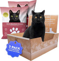 Kitty Poo Club Leakproof Disposable 2-Pack Cat Litter Box with 2 Bags Silica Litter | Superior Odor Control & Recyclable Design | Perfect for Travel, Multi-Cat Homes & Daily Use