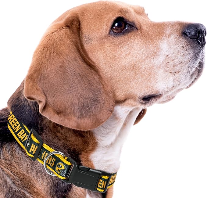 Green Bay Packers NFL Dog & Cat Collar - Large, Shiny & Colorful, Licensed by The NFL
