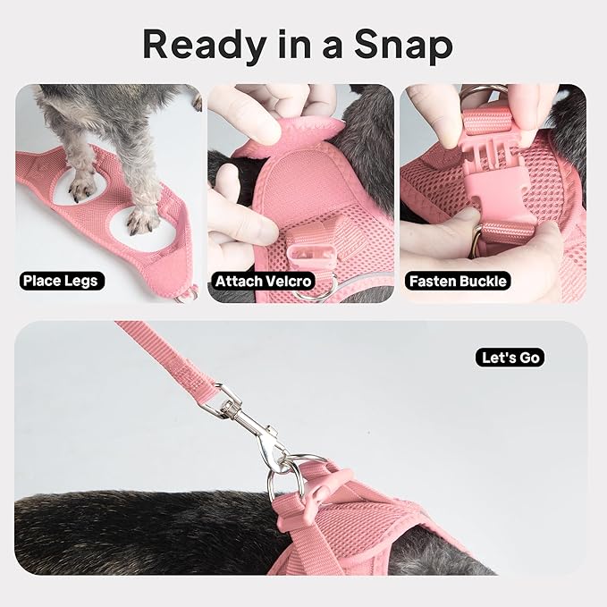 PetiFine Extra Small Step in Dog Harness and Leash Set, Cat Harness and Leash Escape Proof, All Weather Mesh Reflective, Step-in Air Vest Harnesses for Puppy(XXS, Pink)