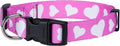 Native Pup Valentine’s Dog Collar- Valentines Day Pet Collars- Valentine Girly Hearts- Pink Red Heart- Cute Boy Girl Puppy Gift- Adjustable for Small, Medium, Large Breeds (Pink Heart, Large)