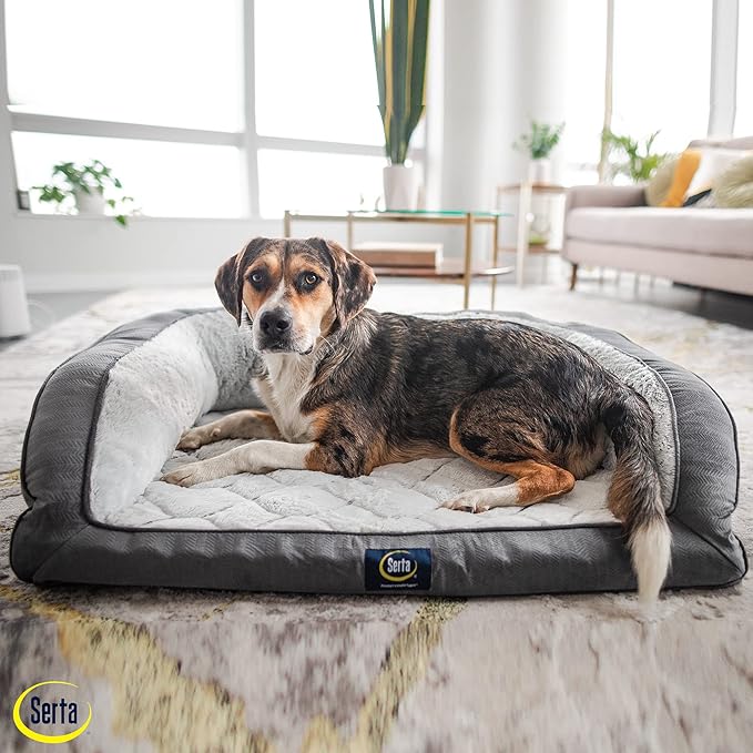 Serta Orthopedic Supportive Foam Quilted Couch Dog Bed with Soft Bolsters (Slate Gray) X-Large