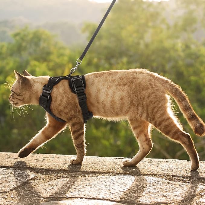 rabbitgoo Cat Harness and Leash for Walking, Escape Proof Soft Adjustable Vest Harnesses for Cats, Easy Control Breathable Reflective Strips Jacket, Black, M