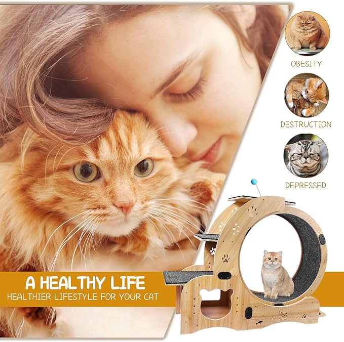Cat Running Wheel,Cat Treadmill for Indoor Cats,Exercise Wheel Wood Climbing Frame,55''Oversized Roller Indoor Activity Center,Large (6-in-1)
