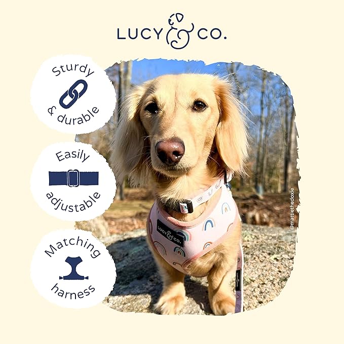 Lucy & Co. in The Clouds Dog Collar - Durable Lightweight Designer Collar for Pets - Adjustable Metal Safety Buckle - Pink Rainbows - Small