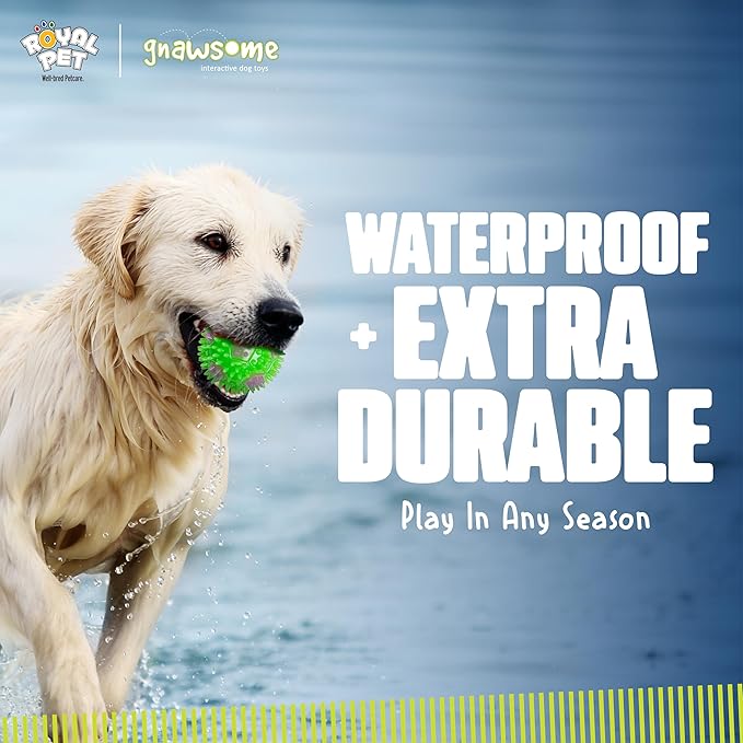 Gnawsome 2.5” Squeak & Light Soccer Ball Dog Toy - Small, Promotes Dental and Gum Health for Your Pet, Colors will vary, 2.5" for All Breed Sizes