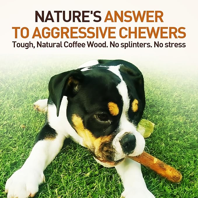 Wildfang® Olive Wood Chewing Sticks for Dogs, Large - Tough Chew Toys for Aggressive Chewers, Puppy Chew Toys for Teething, Training for Chewing Muscles, Olive Wood Stick for Dog (Over 55lbs)