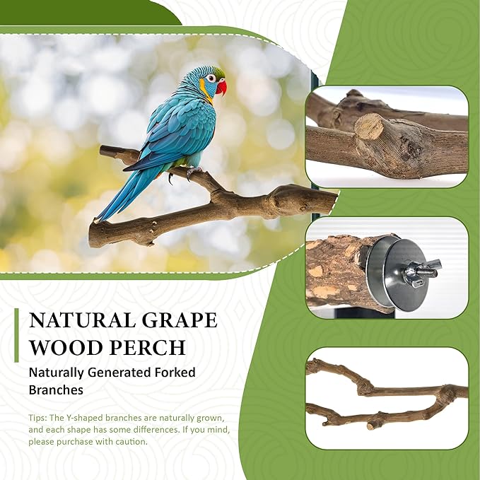 8pcs Natural Bird Perches for Cage, 5.9“ Small Wood Bird Perch for Parakeet/Cockatiel, Bird Cage Stick, Bird Branches for Cages, Birdcage Accessories for Parrot Conure