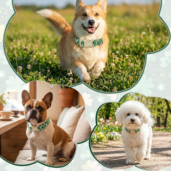 St. Patrick's Day Dog Collar,Green Clover Lucky Shamrock Puppy Collar,Adjustable Spring Cotton Collars Gifts for Small Medium Large Dogs,Dog Accessories M