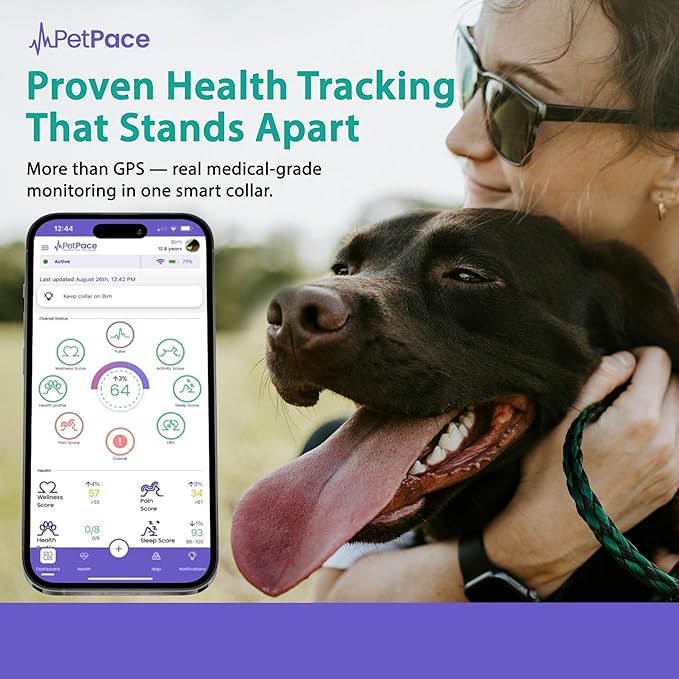 V3.0 Dog Health Monitor – AI Health Collar with 24/7 Vital Signs Tracks Pain GPS, Telehealth AskaVet & Share with Your Vet & Apple Watch Sync – Subscription Required (Medium)