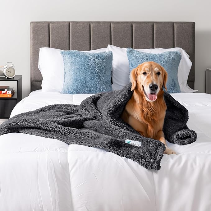 PetAmi Fluffy Waterproof Dog Blanket for Bed Large Dogs, Soft Warm Pet Sherpa Throw Pee Proof Couch Cover, Reversible Cat Blanket Sofa Crate Kennel Protector, Washable Mat (Grey, 60x80)