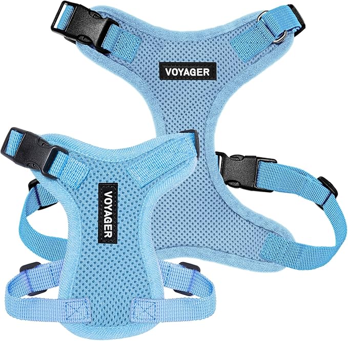 Voyager Step-in Pet Harness - All Weather Mesh, Adjustable Step in Harness for Cats and Dogs by Best Pet Supplies - Baby Blue, XS