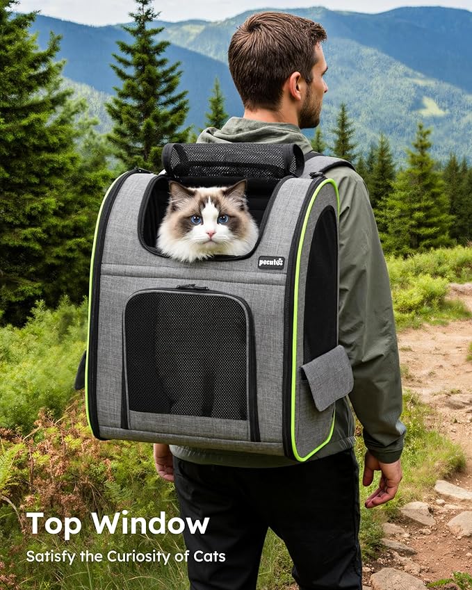 Pecute Cat Backpack Carrier XL, Expandable Pet Backpack for Cats & Small Dogs Up to 15lbs, with 4-Side Breathable Mesh, Multi-Entry & Lockable Zippers for Travel, Hiking, Camping - Hands Free, Gray