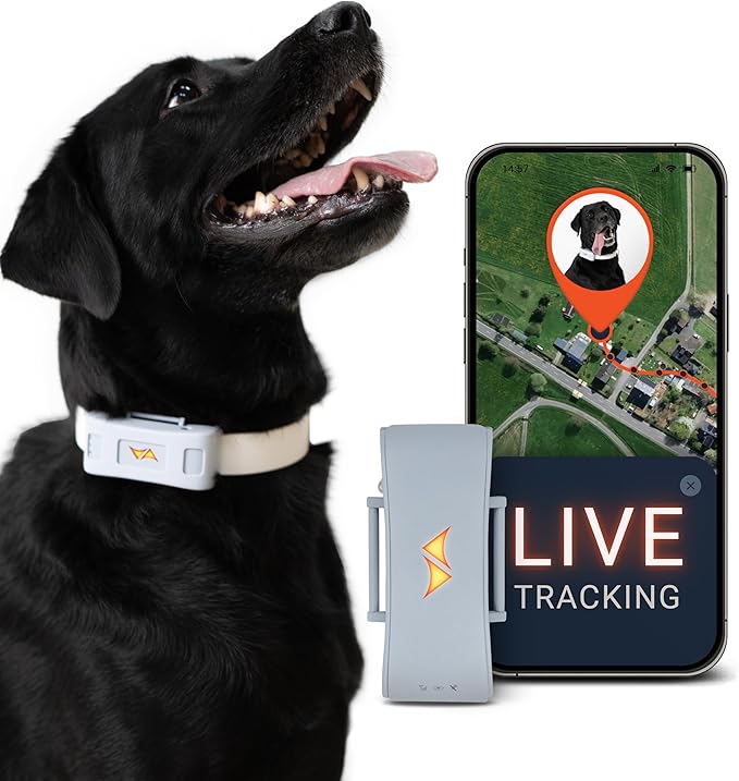 PAJ GPS Tracker for Dogs - 4G GPS Collar Tag with Real-Time Location Tracking & Runaway Alert - Waterproof & Up to 10 Days Battery Life - Fits Any Collar w/Glowing LEDs - Subscription Required - Grey