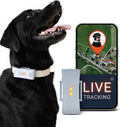 PAJ GPS Tracker for Dogs - 4G GPS Collar Tag with Real-Time Location Tracking & Runaway Alert - Waterproof & Up to 10 Days Battery Life - Fits Any Collar w/Glowing LEDs - Subscription Required - Grey