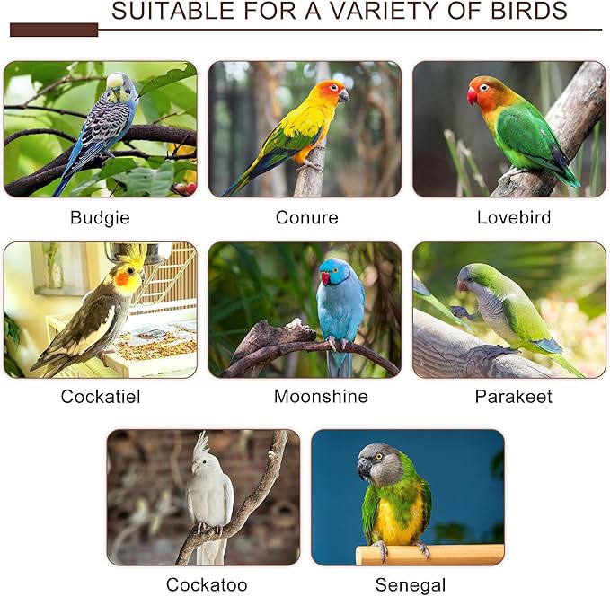 7PCS Bird Perches, Natural Wood Parrot Perch Stand, Bird Perch Chewing Stick Cage Accessories Hanging Multi-Branch Perch Platform Swing Toy for Parakeets, Cockatiels, Small Medium Birds