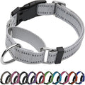 Martingale Dog Collar, Adjustable Nylon Reflective Collar with Buckle No Pull Dog Collar for Small Medium Large Dogs (Grey, M)