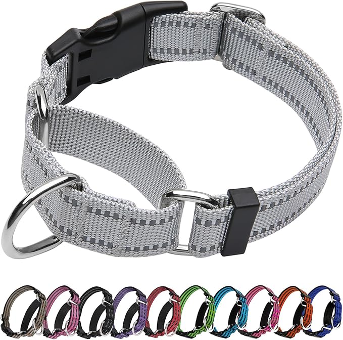 Martingale Dog Collar, Adjustable Nylon Reflective Collar with Buckle No Pull Dog Collar for Small Medium Large Dogs (Grey, M)