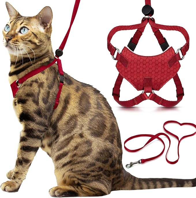 Houdini™ Escape Proof Cat Harness and Leash Set by OutdoorBengal – Red, Medium Cat Harness for Walking