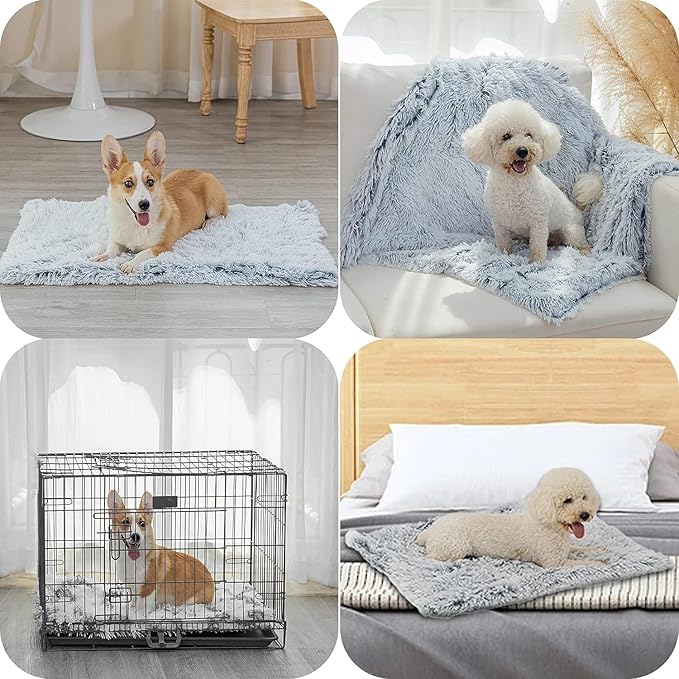 PJYuCien Dog Blankets for Small Dogs Washable - Fluffy Fuzzy Cat Blanket for Couch, Puppy Throw for Furniture with Polyester Fleece, Super Soft Plush for Pet Kitten Doggy, Grey, 24" x 32"