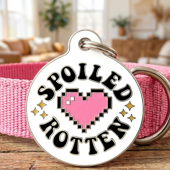 Bad Tags Personalized Dog and Cat ID Tags in 25+ Designs and 2 Sizes - 5 Lines of Custom Engraved Text - Funny Cute Personalized Pet Tags (Spoiled Rotten, Small (1 inch))