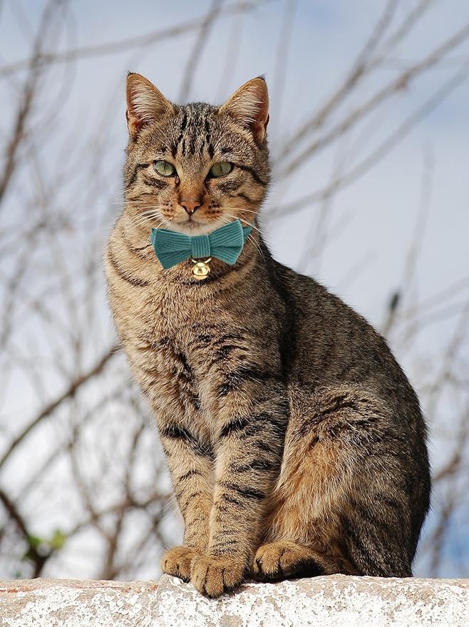 2 Pack Soft Corduroy Cat Collars with Bow Tie & Bell Adjustable Breakaway Bowtie Kitten Collar for Girl Boy Kittens(Orange & Dark Green)