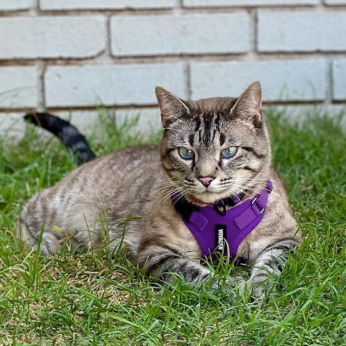 Voyager Escape-Proof Step-in Lock Cat Harness & 5ft Neoprene-Handle Leash Set All-Weather Mesh with Reflective Stitching for Small to Large Cats by Best Pet Supplies, Purple, S