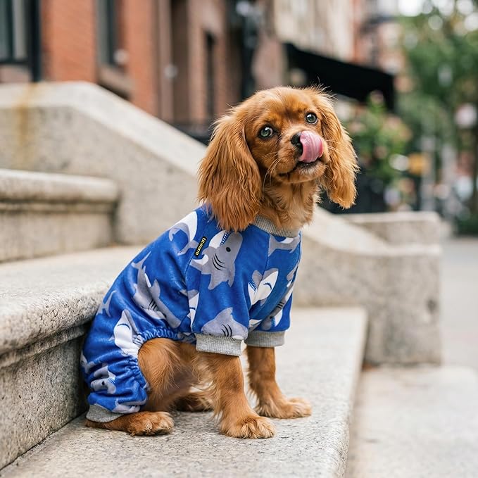 Fitwarm Shark Dog Pajamas, Dog Clothes for Small Dogs Girl Boy, Pet Onesie with Feet, Cat Outfit, Lightweight Velvet, Royal Blue, Small