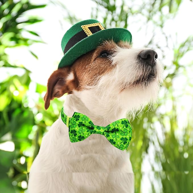St. Patrick Day Dog Collar Adjustable Puppy Collar with Clover Pattern, Cute Pet Accessories for Small Medium Large Dogs