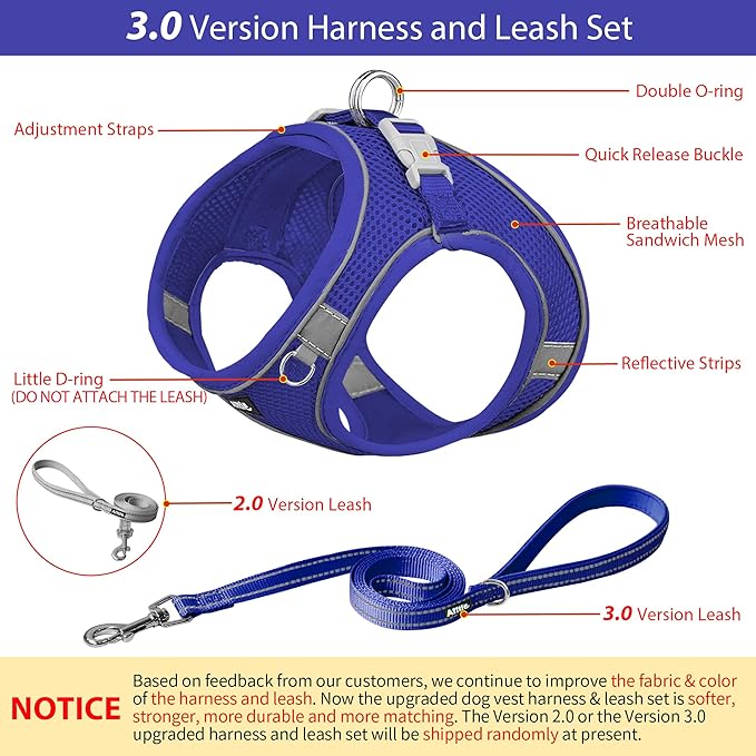 AIITLE Small Harness for Puppy with A Leash - Dog Vest Harness with Super Breathable Mesh, Reflective No-Pull Pet Harness for Outdoor Walking, Running for Small Dogs, Cats Royal Blue XXS