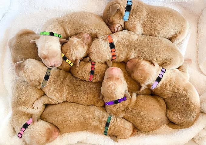 Puppy Collars for Litter,Puppy Collars for Small Puppies Soft Nylon Safety Whelping Litter Collar for Newborn Pets with Record Keeping Charts 12pcs(S)