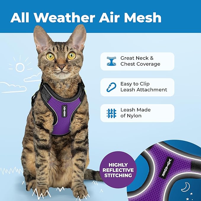 Voyager Escape-Proof Step-in Lock Cat Harness & 5ft Neoprene-Handle Leash Set All-Weather Mesh with Reflective Stitching for Small to Large Cats by Best Pet Supplies, Black Trim-Purple (327), XXXS