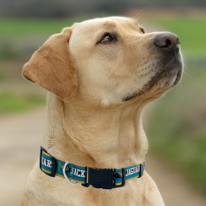 New & Improved Pets First NFL Licensed PET Collar- Heavy-Duty, Strong, and Durable New Dog Collar. Available in 32 Football Teams and 4 Sizes