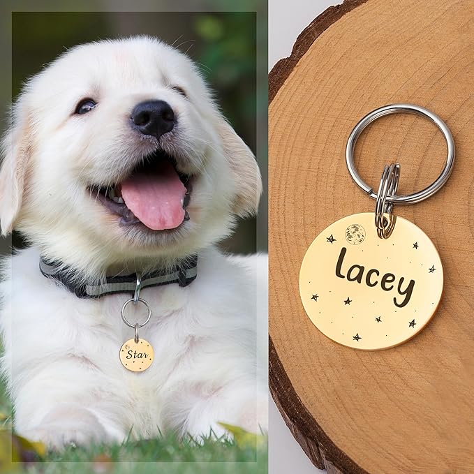 Anavia Small Size Dog Cat ID Tags, Small/XS Personalized Color Plated Stainless Steel Puppy Kitten Name Tags, Customized Engraved Nameplate Pet Collar Tag (Silver, Round)