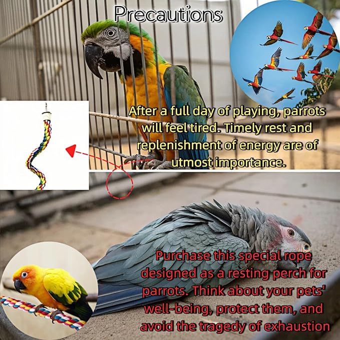 Bird Rope Perches, Parrot Toys, Bungee Rope Perches for Parrots, Cockatiels, Parakeets, Budgie Cages Comfy Birds (Metal Nut) - 33.46 inches