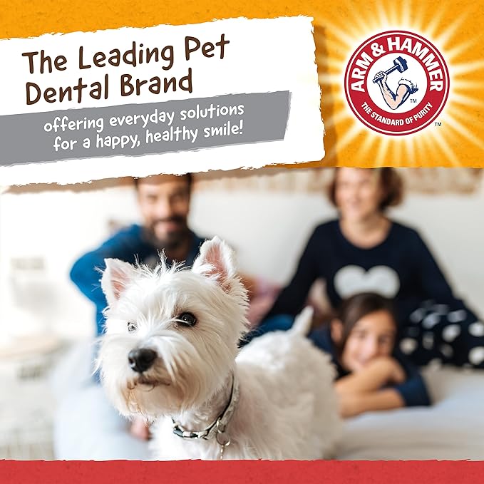ARM & HAMMER for Pets Nubbies Wishbone Dog Dental Toy| Best Dog Chew Toy for Moderate Chewers | Dog Dental Toy Helps Reduce Plaque & Tartar | Chicken Flavor Baking Soda (Pack of 24)