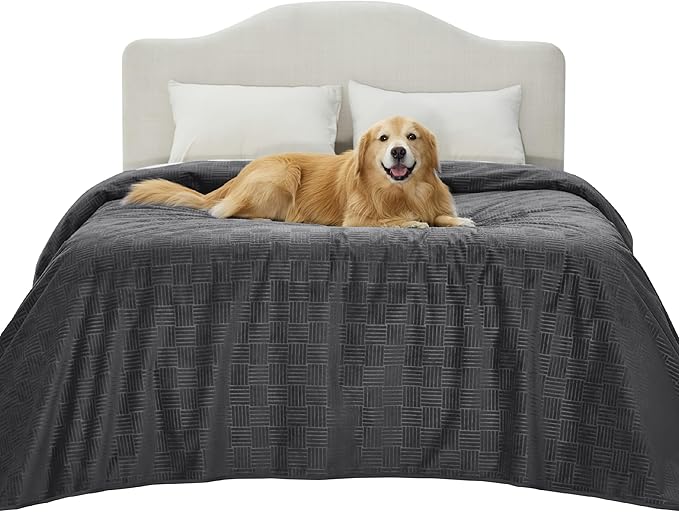 Bedsure Waterproof Bed Cover for Dogs Washable - Waterproof Blanket for Full Bed Couch Sofa Cozy, Lightweight Furniture Protector for Pet Cat Quick Drying, Charcoal, 82x82IN